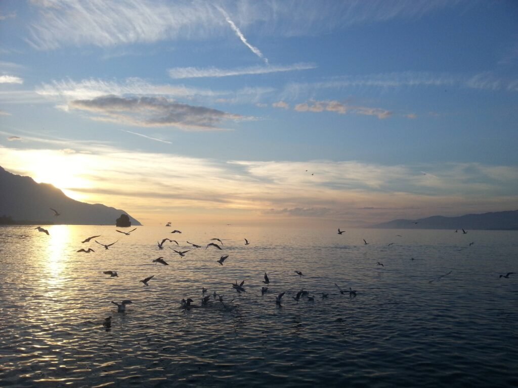 El lago Lemán