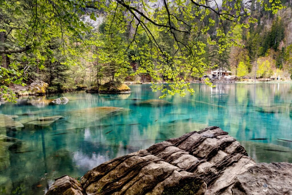 photo of lake during daytime